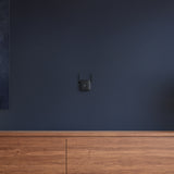 Xiaomi Wi-Fi Range Extender Pro