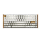 Keychron K2 HE Wireless Special Edition Magnetic Custom Keyboard | NEBULA Switch – White