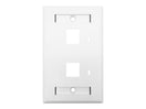 Linkbasic Two Port Faceplate 115 x 70mm