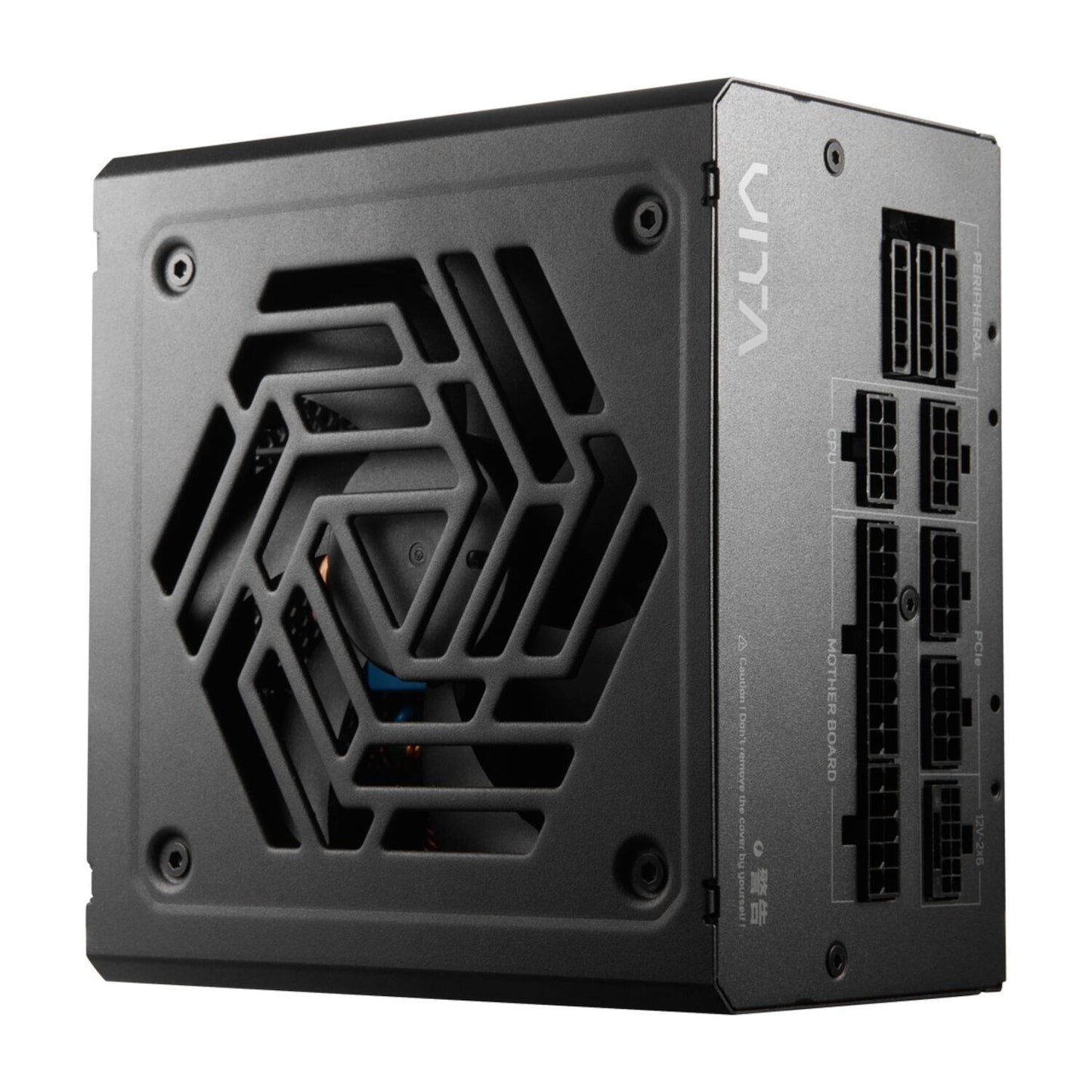 FSP VITA GM 1000W Gold Power Supply - ATX 3.1, PCIe 5.1, 80 Plus Gold